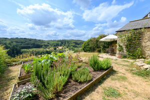 Garden- click for photo gallery